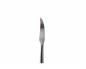 Preview: Dental Scaler